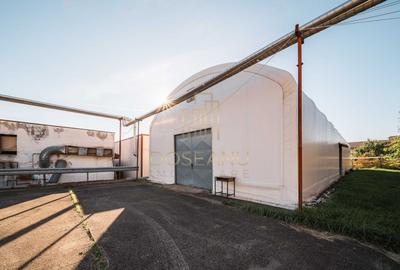 SPATIU MULTIFUNCTIONAL | DE INCHIRIAT | BEIUS - 18