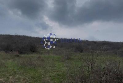 Teren 2 ha Sorogari – deschidere la drum, oportunitate investiție Iași - 2