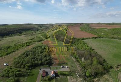 Casa de vacanta cu teren si padure de 3.8ha | Nadas | Herneacova - 6