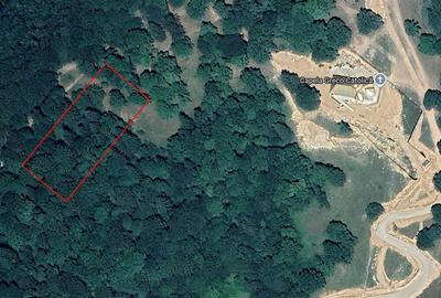 Teren de vanzare 4713 mp investitie | Poiana Brasov - 1