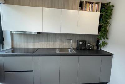 REA1019369 Apartament 2 camere cu vedere la lacul Plumbuita - zona Tei - 3