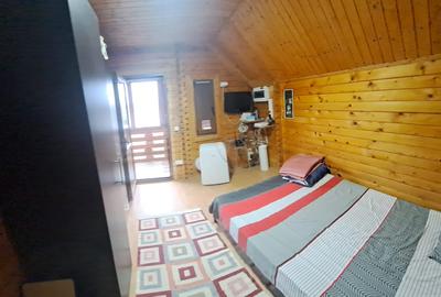 Delta Dunarii - Ilganii de Jos - casa cu deschidere la Dunare - 4