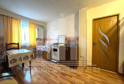 Apartament cu 2 camere | De vanzare | 50 mp | Cetate - zona Piata - 3