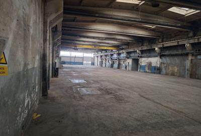 HALE INDUSTRIALE de inchiriat cu birouri, parcari, platforme betonate, acces tir - 7