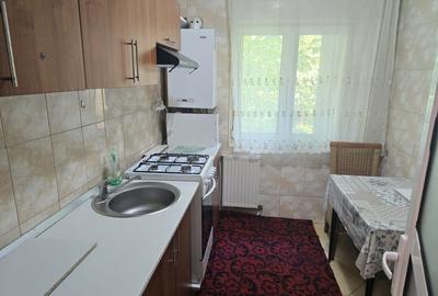 Apartament de inchiriat ultracentral etajul 1, mobilat - 4