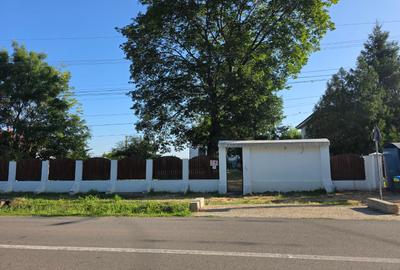 Judetul Prahova, in Poienarii Burchii, conac neoromanesc si teren 2.800 mp - 13