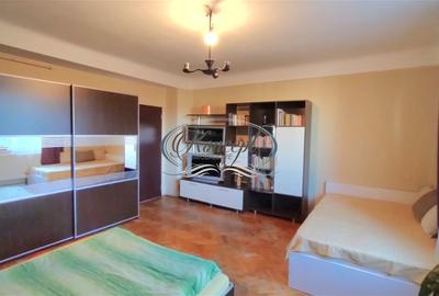 Apartament in Gruia, langa Stadionul CFR - 2