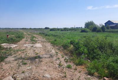 Teren intravilan la intrare în Vetiș – 12.216 mp - 6