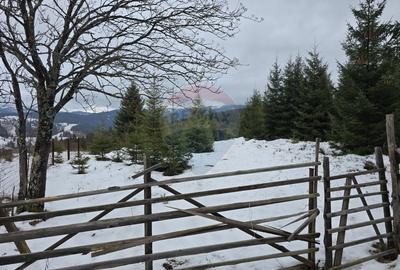 Teren 3,868mp Dorna-Arini / Strada Principala - 4