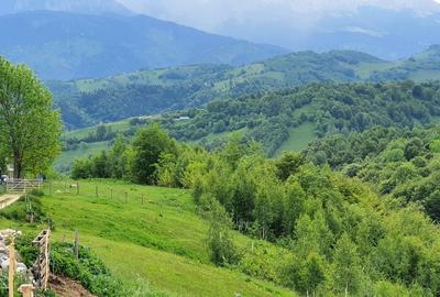 Teren pentru casa de vacanta , Pestera , Brasov - 14