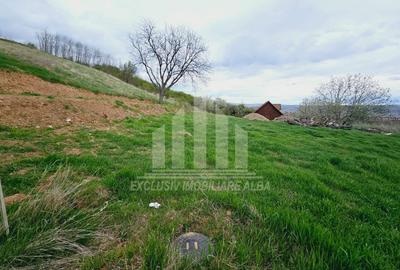 Teren intravilan | De vanzare | 630 mp | 22 ml deschidere | Seigau - 2