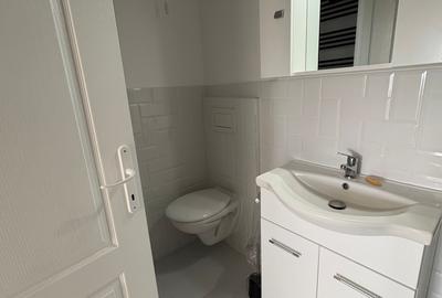 Dristor,ap.2 camere,decomandat,et.7,renovat recent,prima inchiriere,650Euro/luna - 20