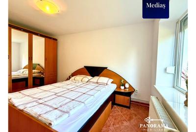 Apartament la casă cu curte proprie în Aviatorilor Mediaș - 12