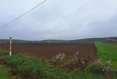 RECO teren Ghenetea 7800mp - 1