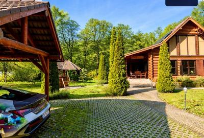 Chalet de vânzare în Sovata. Un refugiu autentic în inima naturii - 21