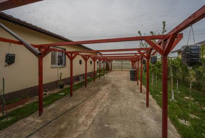 MIHAILESTI - POPESTI, CASA 69 MP, BECI, LOT 508 MP! - 14