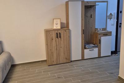 Închiriere Apartament cu 3 Camere în Zona Theodor Pallady - 14