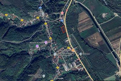 Teren intravilan pentru afacere/constructii, Merisani stradal la DN 7C - 2