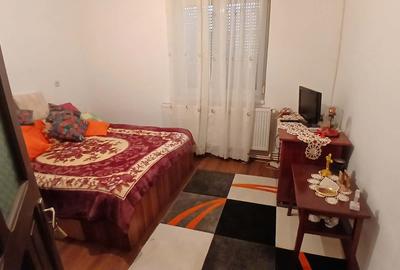 Casa cu 6 camere si anexa locuibila de 57 mp - 8