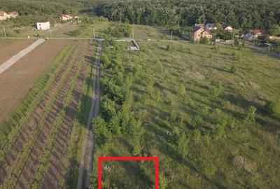 Intravilan, Branesti, 500mp, str. Violetelor, Lacul Pasarea, Padurea Cucu - 3