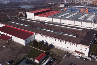 Hala industriala cu pod rulant de inchiriat Lugoj - 2