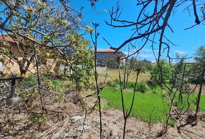 Oportunitate! Techirghiol, teren 923 mp., ideal constructie, investitie! - 7