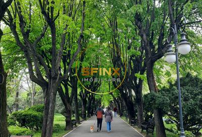 Parc Cismigiu, vanzare apartament 4 camere in vila interbelica - 33