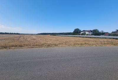 Snagov Gruiu intravilan - 3