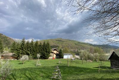 Teren plat, cu deschidere la lacul Paltinu, acces facil - 6