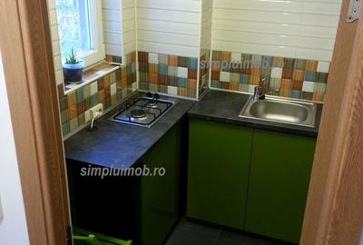 Bulevardul Constantin Brancoveanu Decomandat 2 Camere Renovat - 9