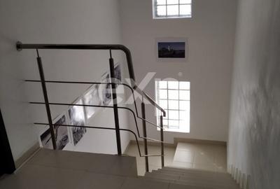 Casa 3 camere in Trivale | str Campului | Mobilata si Utilata - 18