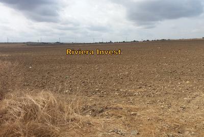 Varianta Constanta-Ovidiu-Teren intravilan 10 Ha ideal parc logistic - 4