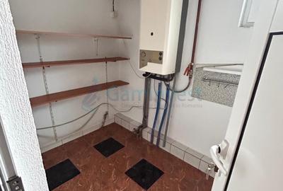 Proprietate cu doua case si anexe in Bors, Bihor - 9