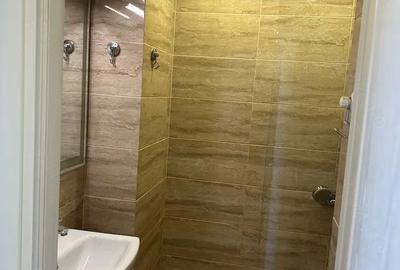 Apartament superb 2 camere, Bălcescu, mobilat complet, balcon, fara risc seismic - 10