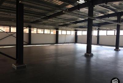 Spațiu comercial, 1300 mp în Central