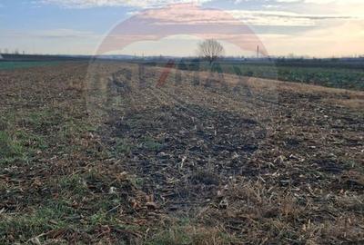 Teren intravilan 3400mp de vânzare la Sântion - 4