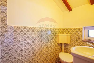 Cabana la Flo, 8 cam,P + M, teren 888 mp oportunitate de investitie ! - 44