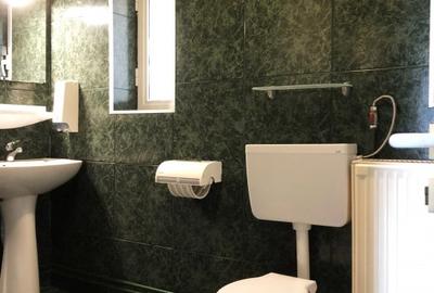 Vila 8 cam. bd. Timisoara stradal-oportunitate comerciala si rezidentiala unica - 9