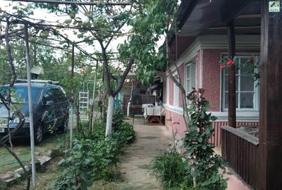 CASA + TEREN 1300MP | MERII PETCHII | ZONA ASFALTATA | - 1