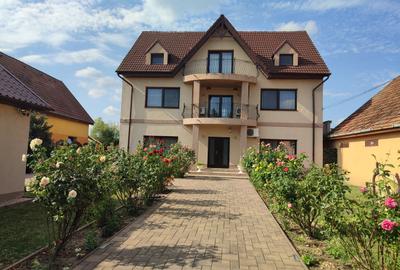 Casă individuală cu 7 camere în Sânandrei