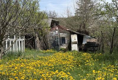 Casă  de vânzare în zona Câmpulung înconjurată de natura - 5