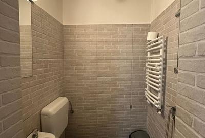 Spatiu comercial în Piața Unirii - 155 mp - 25