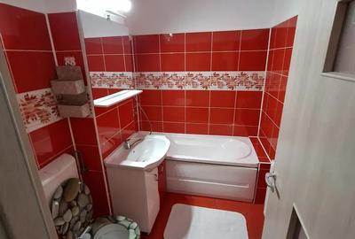 Apartament 2 camere   etj  1 mobilat si utilat nou - 4