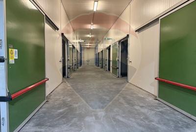 Ferma agro-industrială – 43 ha Adunații Copaceni - 3