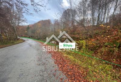 Oportunitate de investiție – Teren pentru hotel / pensiune pe Valea Avrigului - 1