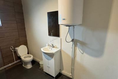 Casa cu 3 camere in Tocile - 12