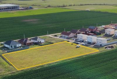 55 E/mp - Sanandrei - teren cu destinatie:rezidentiala / comerciala - 1