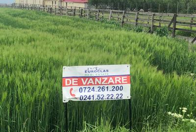 Teren 17.000mp Costinesti - zona Manastire - 100 euro/mp (Cod E2) - 3