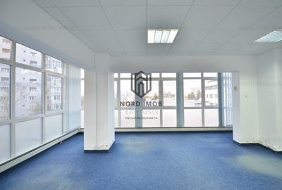 Inchiriere 242 mp | Imobil birouri Domenii | Comision 0%-Reprezentare Proprietar - 3