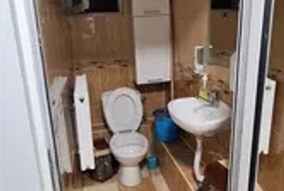 Spatiu comercial Podu Ros - 5